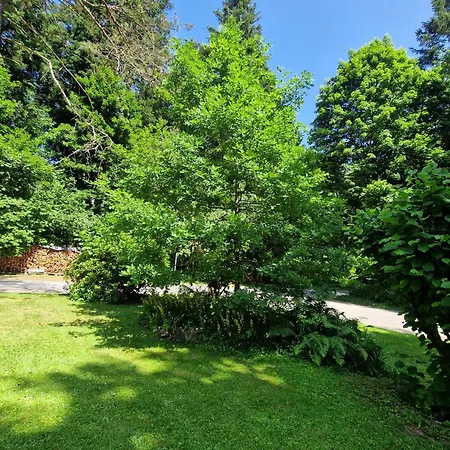 Quarto em Acomodações Particulares Gaestezimmer Im Haus Am Wald Freudenstadt