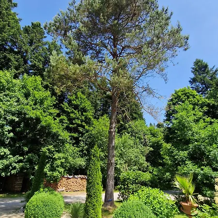 Gaestezimmer Im Haus Am Wald