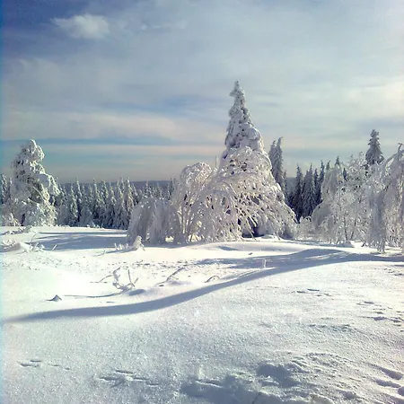 Gaestezimmer Im Haus Am Wald *