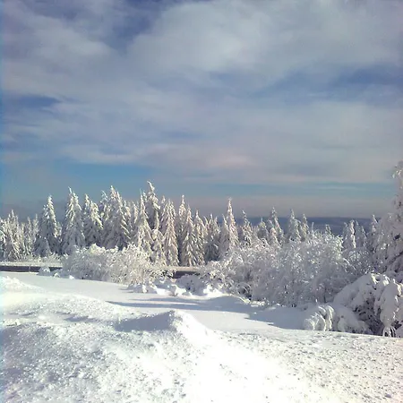 Gaestezimmer Im Haus Am Wald