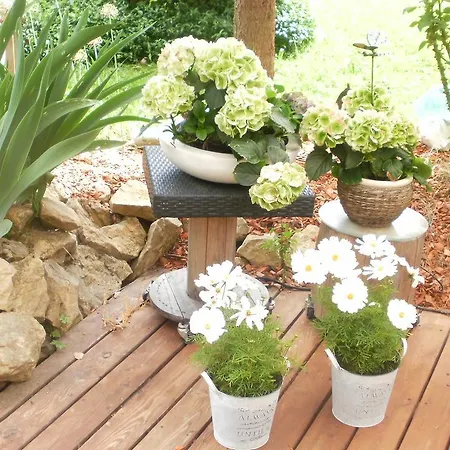 Gaestezimmer Im Haus Am Wald